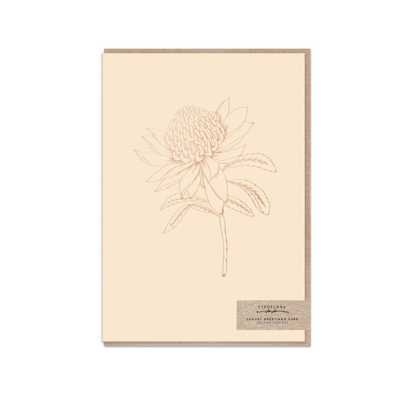 Greeting Card - Nude Waratah