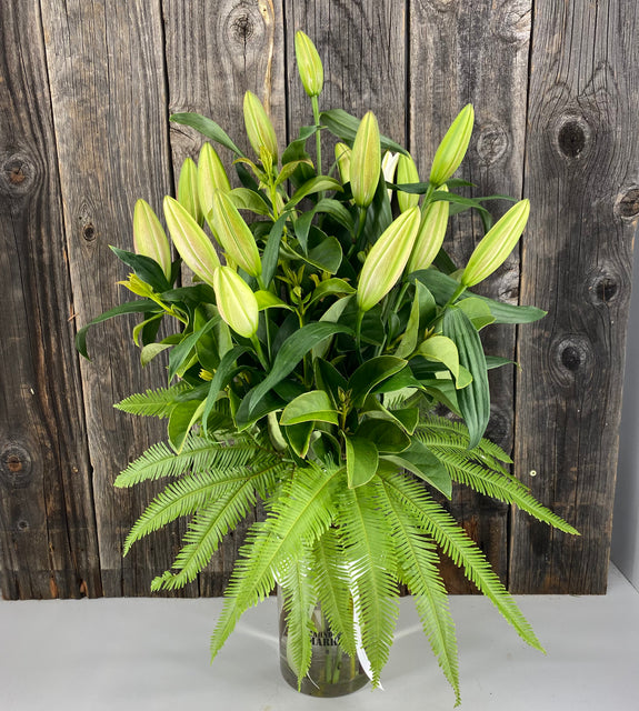Bella White Vase