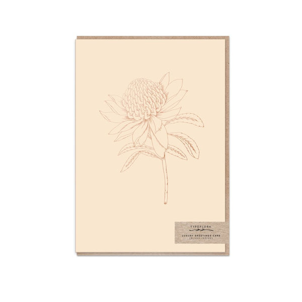 Greeting Card - Nude Waratah
