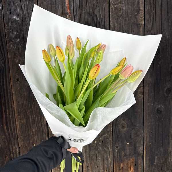 Bouquet of Tulips