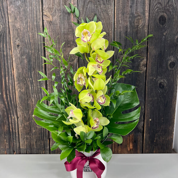 Tina Vase