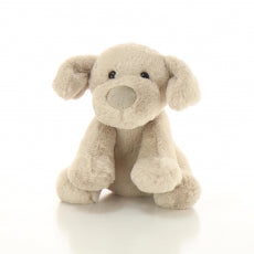 Dog Beige Teddy 22cm Teddy