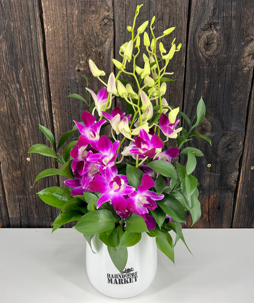 Orchid sea breeze vase - Assorted